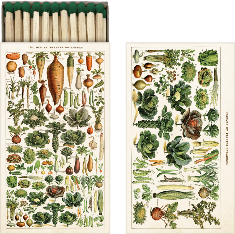 Lange Streichhölzer in einer Schachtel aus Karton mit vielen verschiedenen Gemüsesorten darauf im Vintage Stil. 