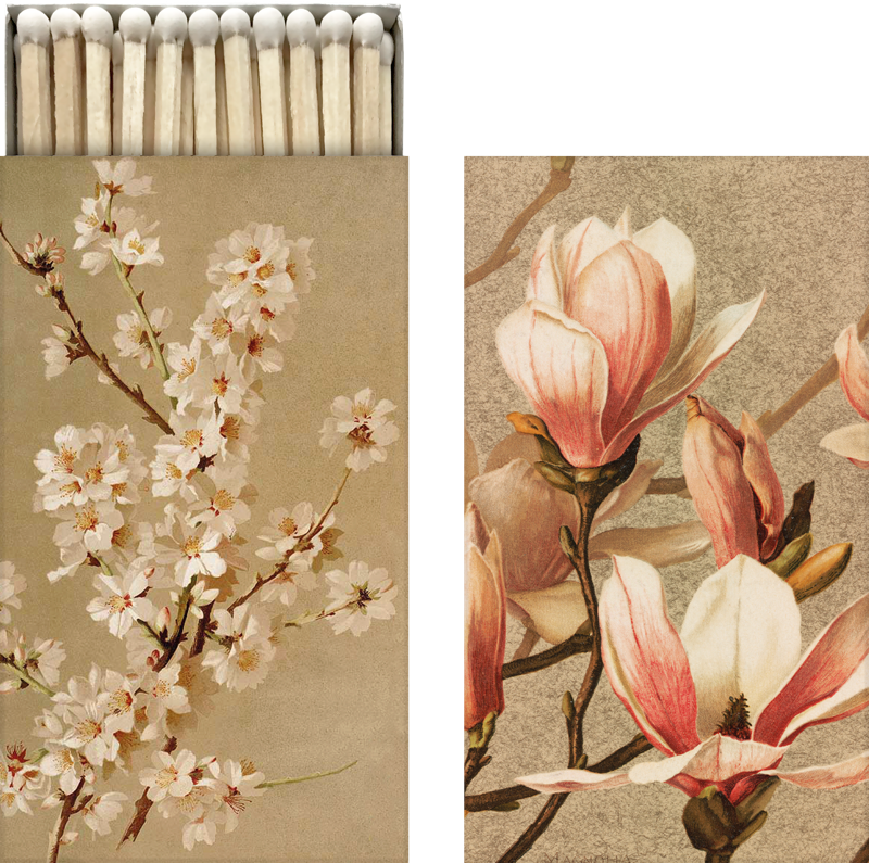 Streichholzschachtel mit Magnolienmotiv. 