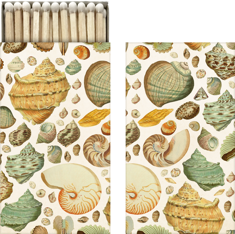 Streichholzschachtel mit Muschelmotiv.