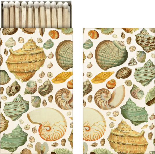 Streichholzschachtel mit Muschelmotiv.