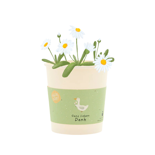Saatgut für Gänseblümchen in einem Becher aus Pappe als Pflanzgefäß. Gans lieben Dank Becher.