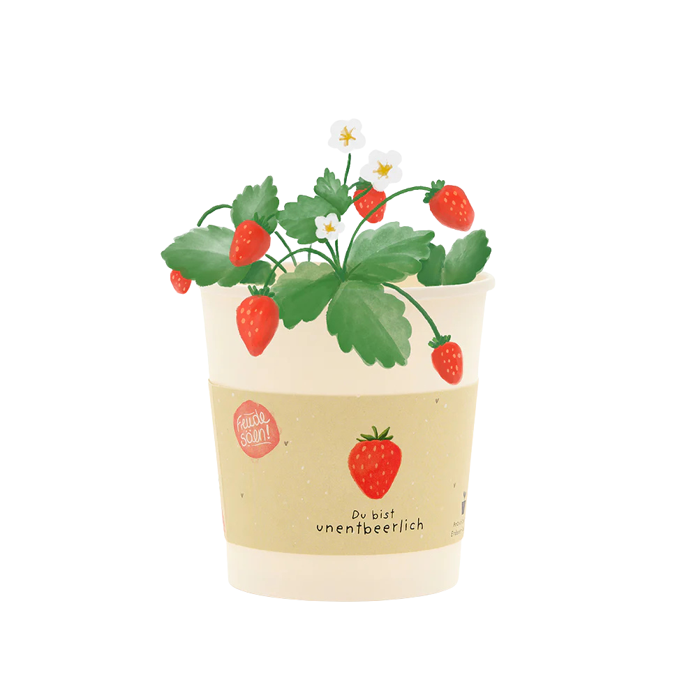 Saatgut für Erdbeeren in einem Becher aus Pappe als Pflanzgefäß. Du bist unentbeerlich-becher.