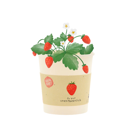 Saatgut für Erdbeeren in einem Becher aus Pappe als Pflanzgefäß. Du bist unentbeerlich-becher.