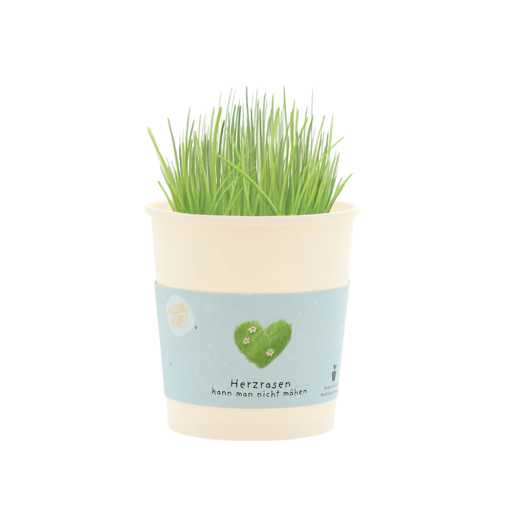 Saatgut, herzrasen kann man nicht mähen, ein Becher aus Pappe mit Gras-Saatgut welches aus dem Becher wächst. 
