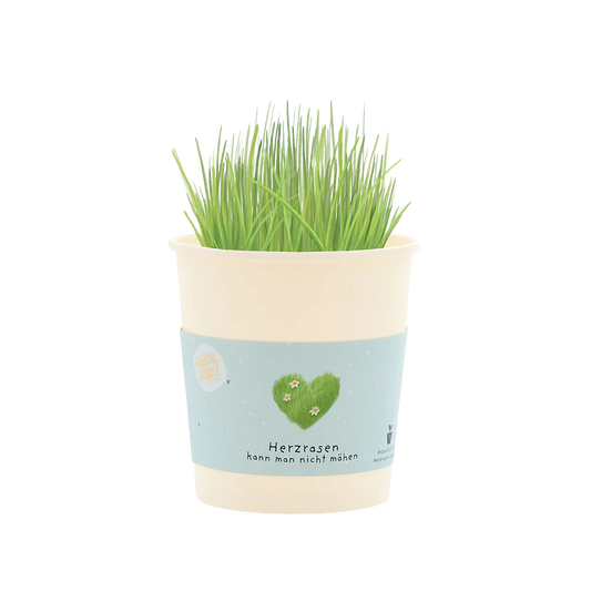Saatgut, herzrasen kann man nicht mähen, ein Becher aus Pappe mit Gras-Saatgut welches aus dem Becher wächst. 