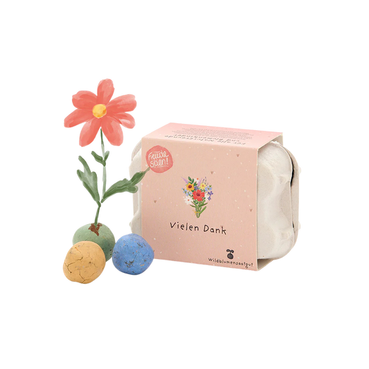 Saatgut Blumenmurmeln "Vielen Dank" für bunte Blumen in einer kleinen Eierpackung. Aus einer Blumenmurmel wächst eine rosa farbene Blume.