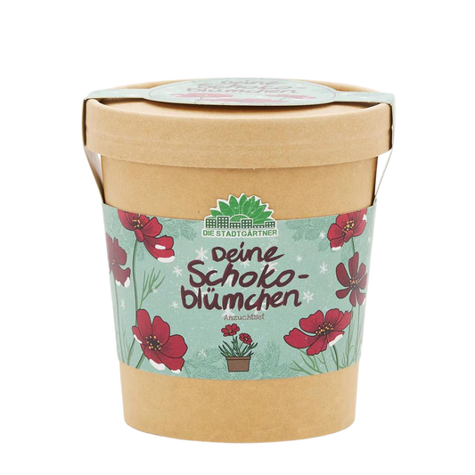 Ein Anzuchtset für Schokoblümchen im Becher aus Karton.