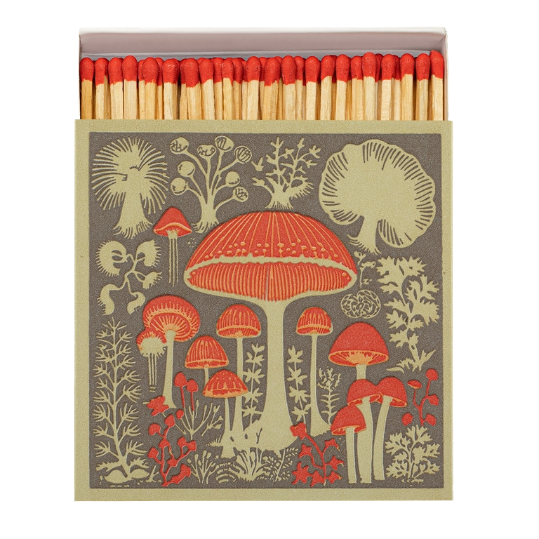 Streichhölzer in einer quadratischen Schachtel mit Pilz Abbildungen. 