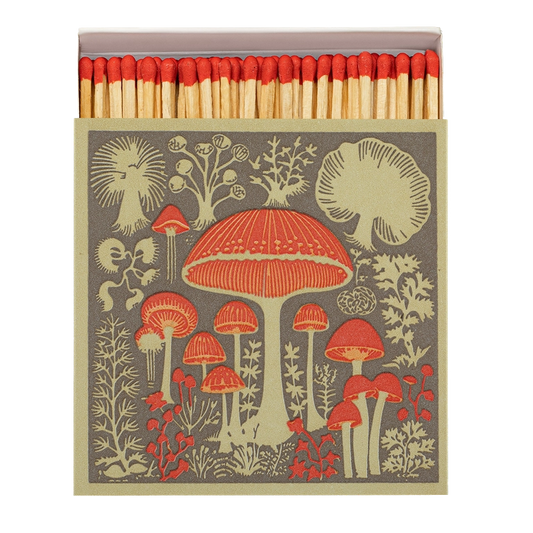 Streichhölzer in einer quadratischen Schachtel mit Pilz Abbildungen. 