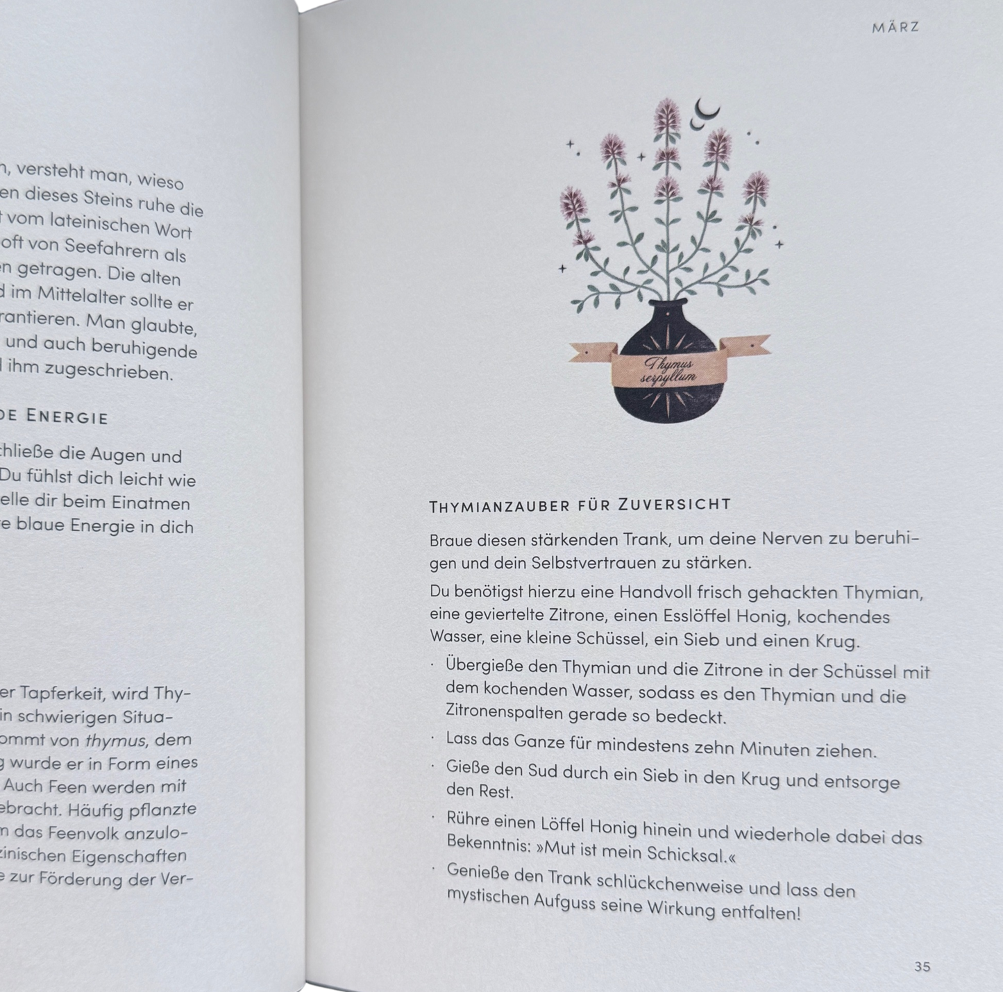 Eine Buchseite mit einem Thymianstrauch in einer Vase und die Beschreibung der Zubereitung eines Getränkes daraus. 
