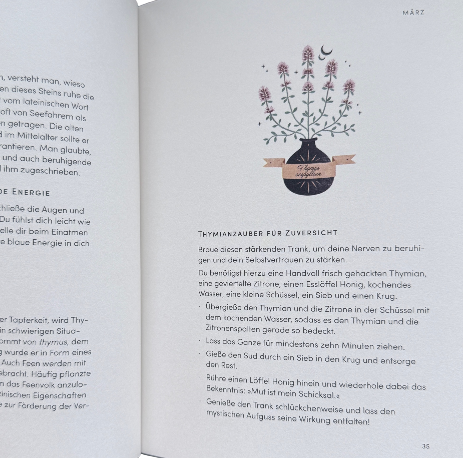 Eine Buchseite mit einem Thymianstrauch in einer Vase und die Beschreibung der Zubereitung eines Getränkes daraus. 