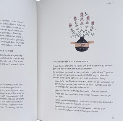 Eine Buchseite mit einem Thymianstrauch in einer Vase und die Beschreibung der Zubereitung eines Getränkes daraus. 