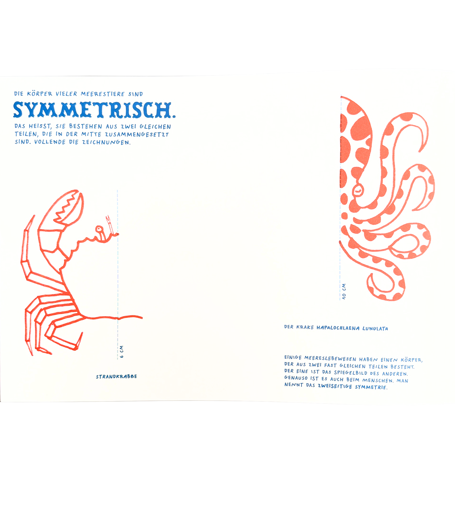 Wissens-und Mitmachbuch über das Meer. Malen, basteln und experimentiern.