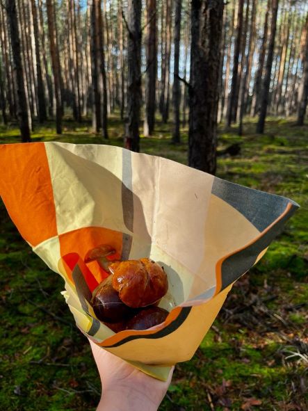 nordic-soul rostock nuetzliches bienenwachstuech bunt als alternative zur frischhaltefolie zur aufbewahrung von lebensmitteln aus dresden als charity edition von lerke nennemann für toff und zuerpel